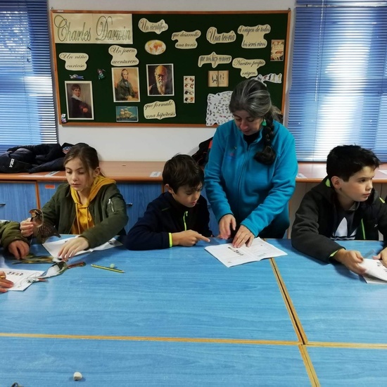 Albergue 5º- 3º día (mañana) 17