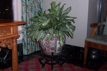 Interior del Hotel The Empress, Victoria