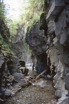 Barranco de Barbaruens, Huesca