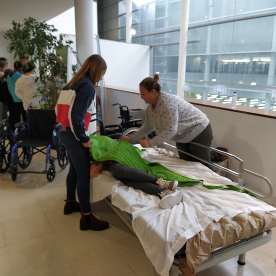 Diversidad funcional 5