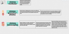 Documentos Seminario Integración Sensorial