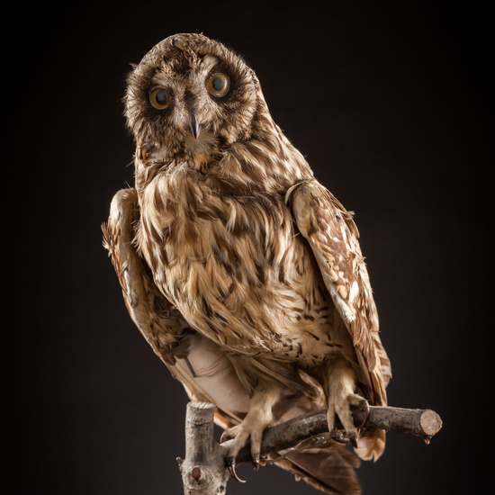 IES_CERVANTES_BIOLOGIA_022