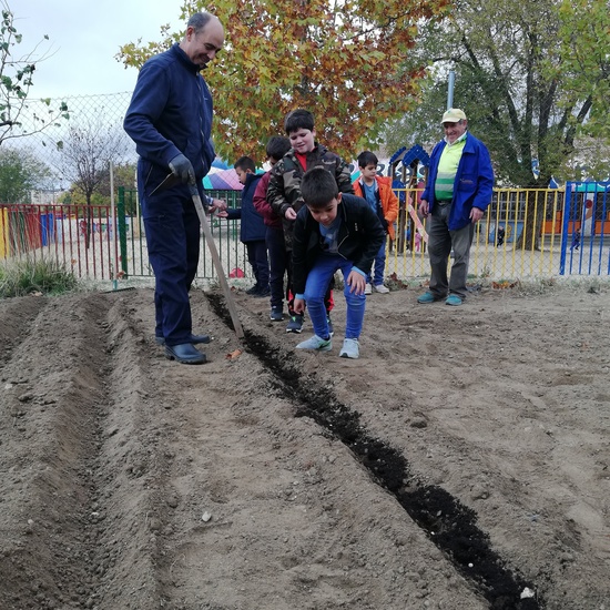 Huerto escolar 2019/20 47