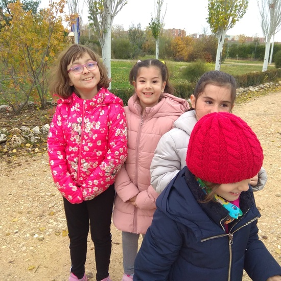 REVOLOTEANDO POR BOSQUE SUR -  3º PRIMARIA (CURSO 19/20) 13