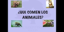 INFANTIL 3 AÑOS B - ALIMENTACIÓN DE LOS ANIMALES 