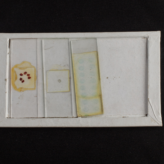 IES_ISABELLACATOLICA_BIOLOGIA_220