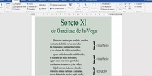 Explicación Soneto 2