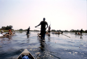 Canoas en el Delta del Okawango, Botswana