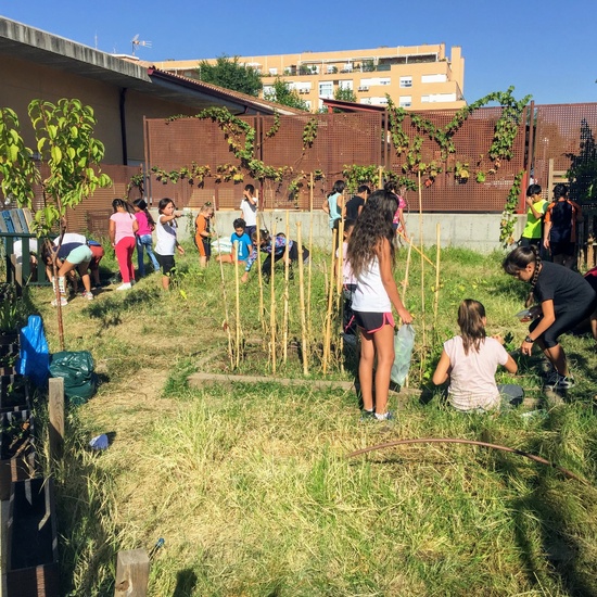 El año hortelano de 4º B 4