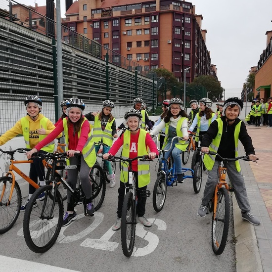 Educación Vial. 6º 8