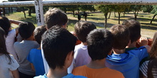 Salida en bici 4º de Primaria 2
