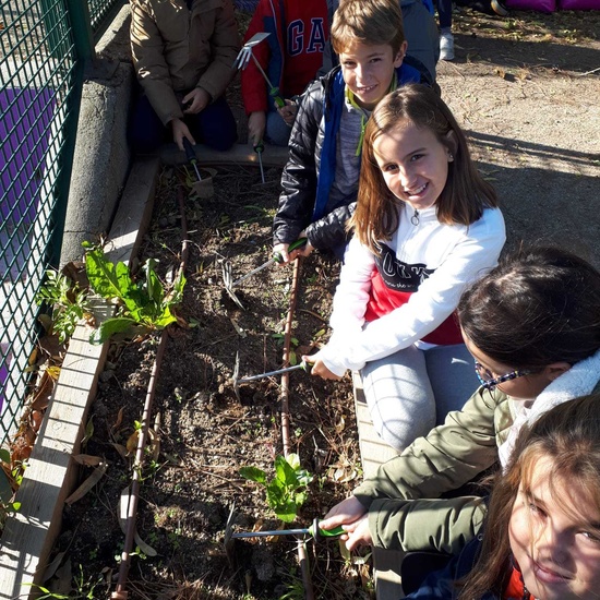 2019_11_08_4º empieza el mes de noviembre de forma muy ecológica_CEIP FDLR_Las Rozas 6
