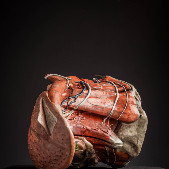 IES_CARDENALCISNEROS_ANATOMIA_MODELOS_010