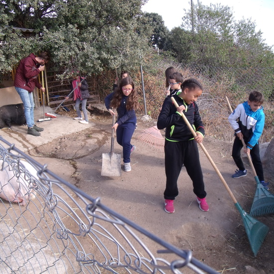 NOCHE MÁGICA 2019 (3ª parte) 27