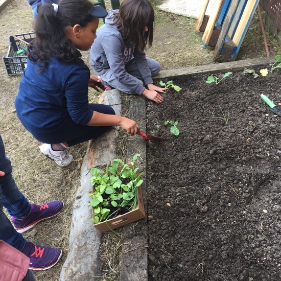 El año hortelano de 4º B 2