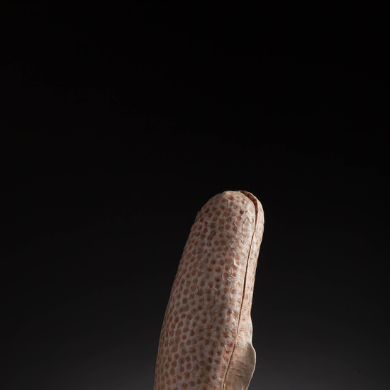 IES_CARDENALCISNEROS_ANATOMIA_MODELOS_114