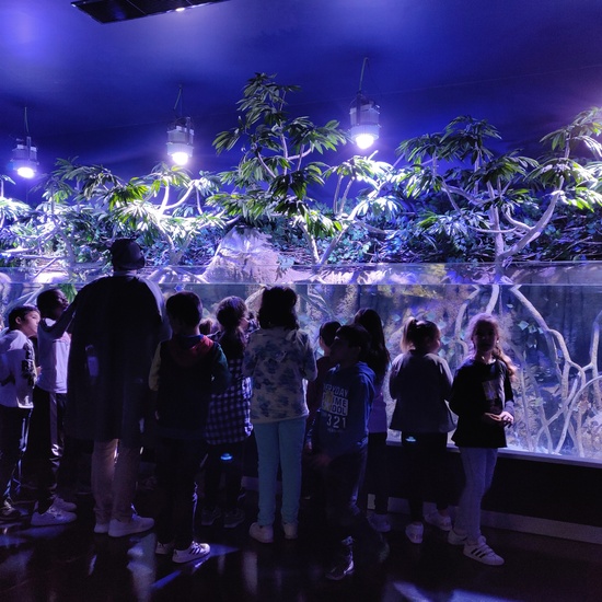 FOTOS AQUARIUM 1 17