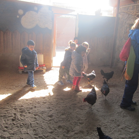 Granja Escuela Educación Infantil Curso 2017-18_2 15