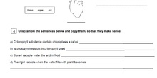 NATURAL SCIENCE Unit 1 Review  ORGANISATION OF LIVING THINGS