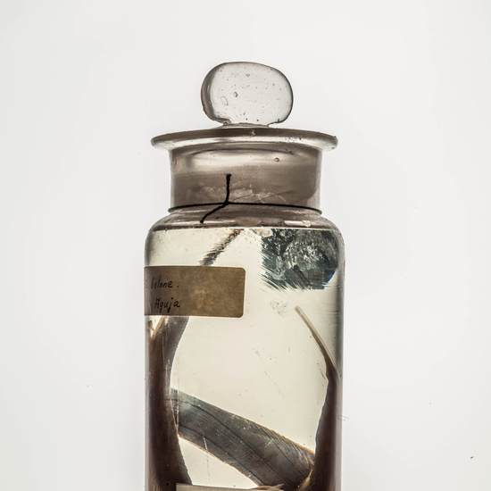 IES_CARDENALCISNEROS_CIENCIASNATURALES_127