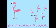 PRIMARIA - 1º - SINGULAR Y PLURAL II - LENGUA - FORMACIÓN