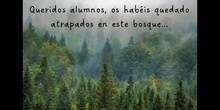 PERDIDOS EN EL BOSQUE