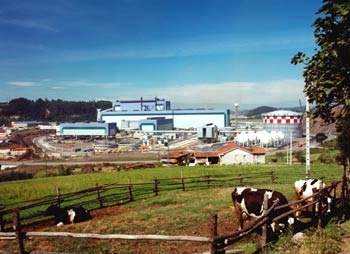 Acería de Avilés, Principado de Asturias