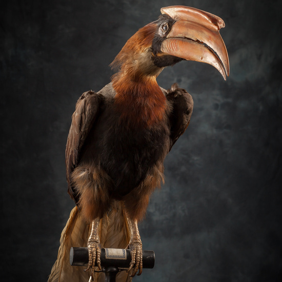 IES_SANISIDRO_BIOLOGIA_327