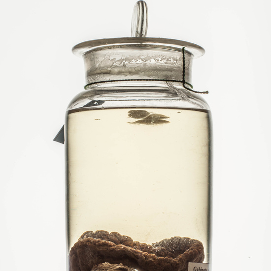 IES_CARDENALCISNEROS_CIENCIASNATURALES_013