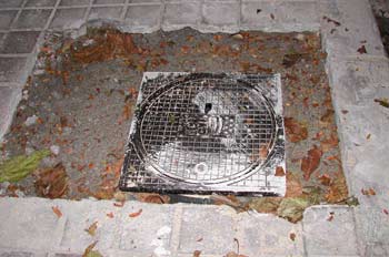 Arqueta registro del canal