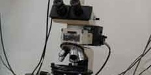Microcoscopio con cámara de vídeo acoplada