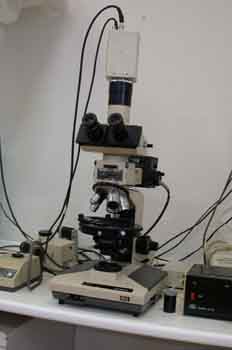 Microcoscopio con cámara de vídeo acoplada