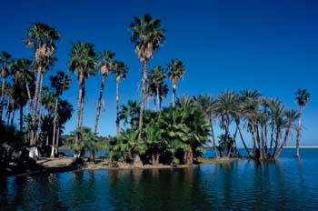San José del Cabo, Baja California Sur