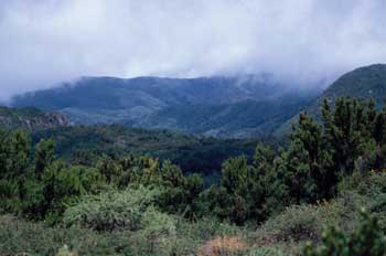 La Gomera, Islas Canarias