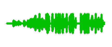 Pato de invierno +tormenta