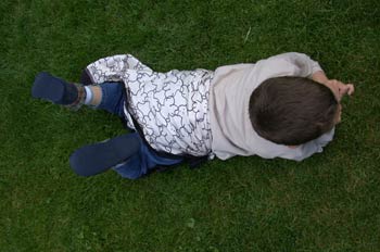 Punto de vista cenital