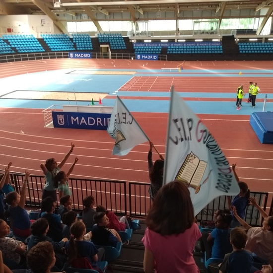 MINIOLIMPIADAS 4º CURSO 11