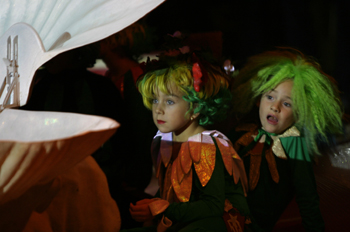 Observando la actuación