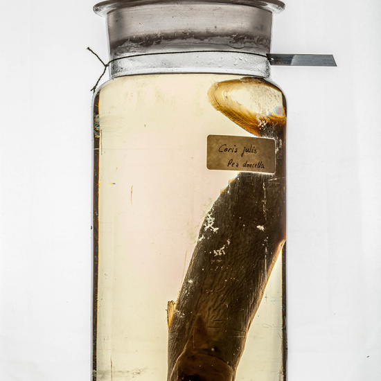 IES_CARDENALCISNEROS_CIENCIASNATURALES_382