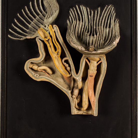 IES_SANISIDRO_BIOLOGIA_339