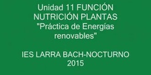 ENERGÍA RENOVABLE- BIOMASA