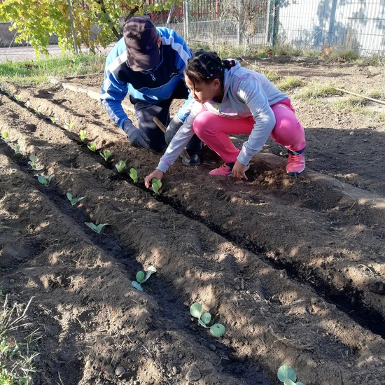 Huerto escolar 2019/20 21
