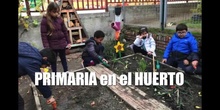 PRIMARIA en el HUERTO 2019