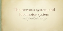 NERVOUS SYSTEM