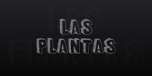Las plantas 1º