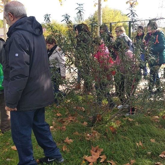 12/11/2019_Polvoranca 31