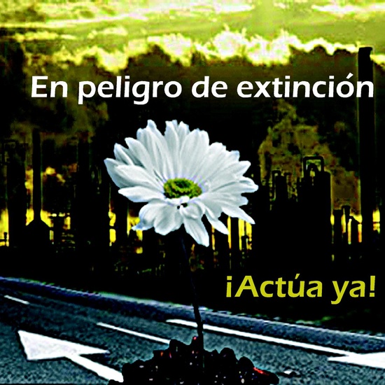 Carteles Proyecto Comenius 2006-07 8