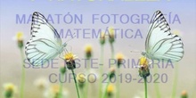 MARATÓN FOTOGRAFICO PRIMARIA ESTE DEFINITIVO