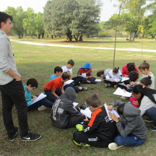 EN MÚLTIPLE 6º - 2019 (2ª Parte) 19