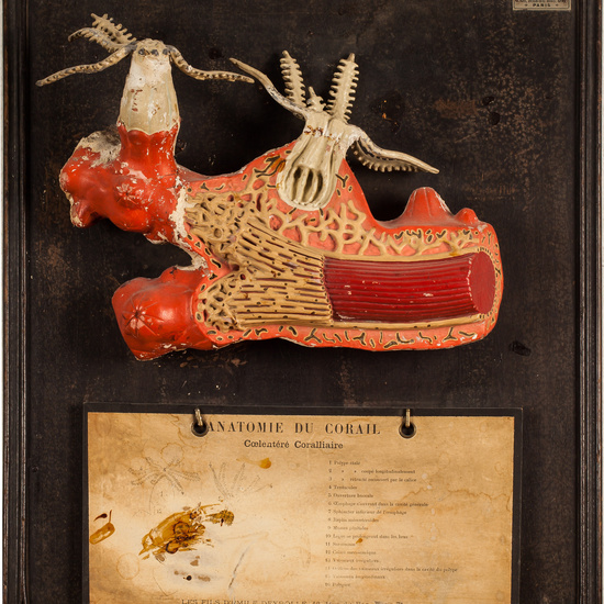 IES_SANISIDRO_BIOLOGIA_344